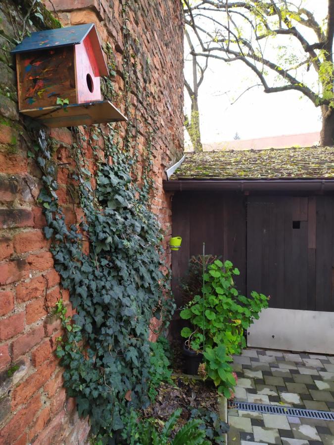 Tiny Cozy Accommodation زغرب المظهر الخارجي الصورة