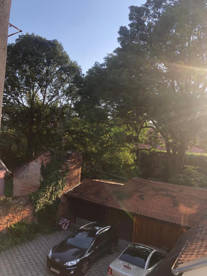 Tiny Cozy Accommodation زغرب المظهر الخارجي الصورة